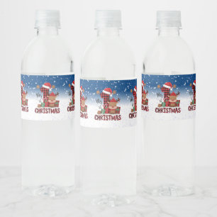 Étiquette Pour Bouteilles D'eau 1er Noël Santa Hat White Neige Bébé Reindeer