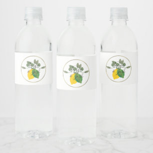 Étiquette Pour Bouteilles D'eau Aquarelle Limoncillo Lime Lemon