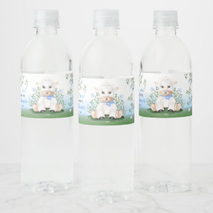 Étiquette Pour Bouteilles D'eau Baby shower floral bleu d'agneau