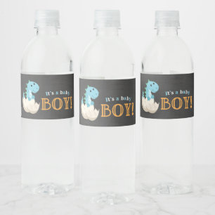 Étiquette Pour Bouteilles D'eau Chalkboard Dinosaur Boy Baby shower