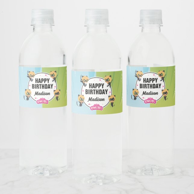 Étiquette Pour Bouteilles D'eau Chat Miraculeux Noir Chibi Anniversaire (Bouteilles)