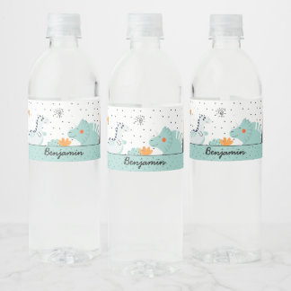 Étiquette Pour Bouteilles D'eau Cute Dino Dinosaures fête d'anniversaire