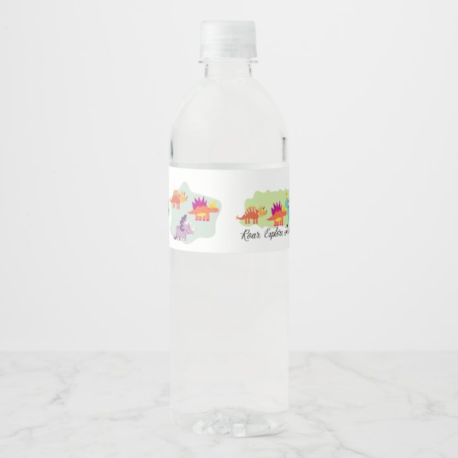 Étiquette Pour Bouteilles D'eau Dinosaure (Devant)