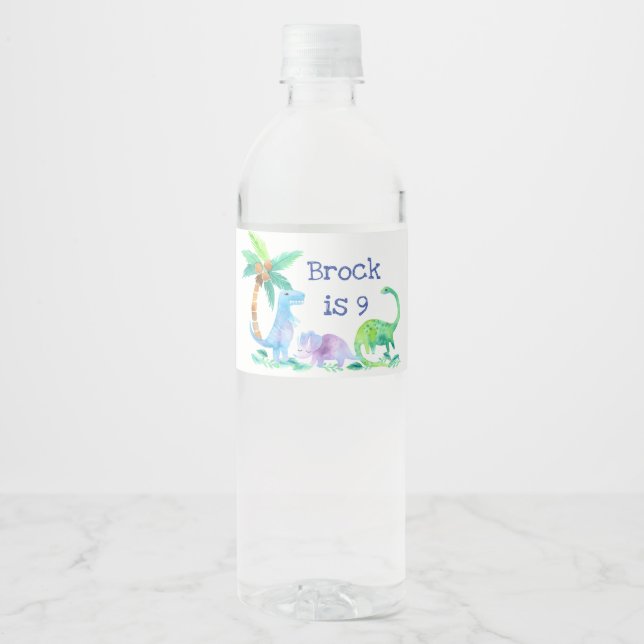 Étiquette Pour Bouteilles D'eau Dinosaures avec texte personnalisé (Devant)