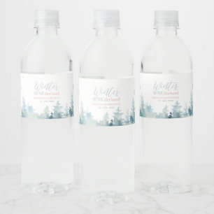Étiquette Pour Bouteilles D'eau Fête d'anniversaire de l'hiver rose et argent