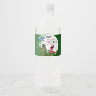 Étiquette Pour Bouteilles D'eau Fun Three Rex Jurassic Enfant 3ème Anniversaire