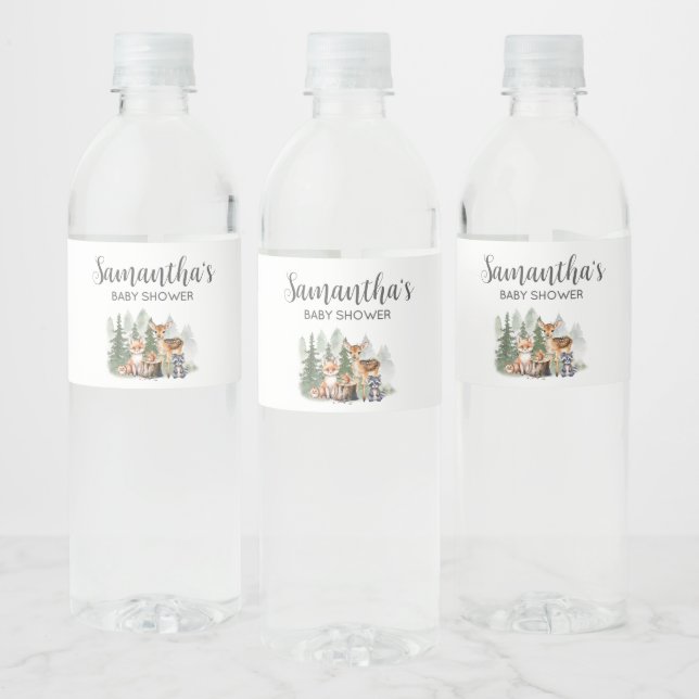 Étiquette Pour Bouteilles D'eau Let the Adventure Begin Baby Shower  (Bouteilles)
