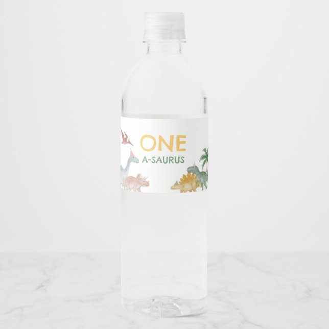 Étiquette Pour Bouteilles D'eau One A Saurus Dinosaur Boy Birthday  (Devant)