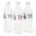 Spidey et ses amis Extraordinaires Anniversaire