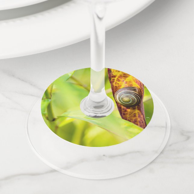 Étiquette Pour Verre De Vin attachement calme (De près)