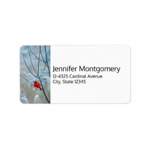 Étiquette Red Cardinal dans Winter Nature Photo de Christmas