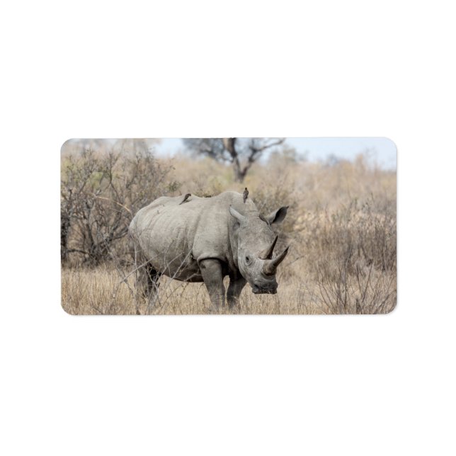 Étiquette Rhino blanc (Devant)
