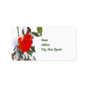 Étiquette Rose rouge en neige