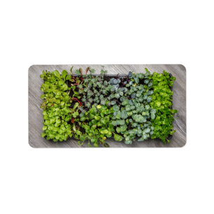 Étiquette Seedlings