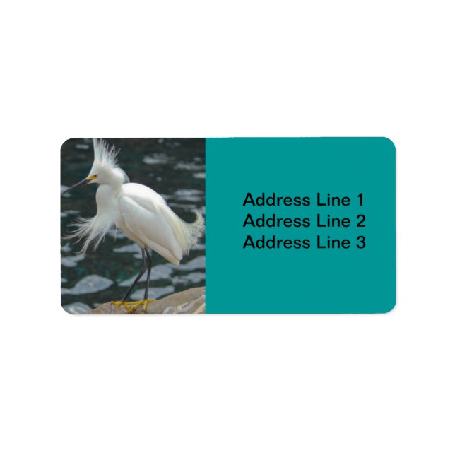 Étiquette Snowy Egret (Devant)