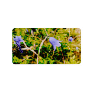 Étiquette Swedish Bluebell