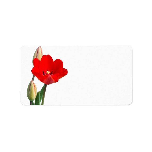 Étiquette Tulip (Devant)