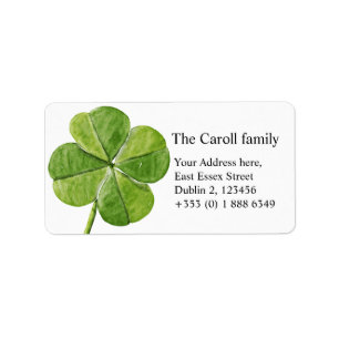 Étiquette Un Shamrock de trèfle vert chanceux à quatre feuil