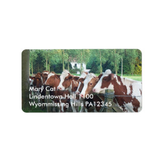 Étiquette Vaches curieuses