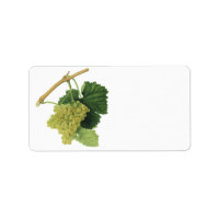 Vins blancs sur la vigne, fruits alimentaires Vint