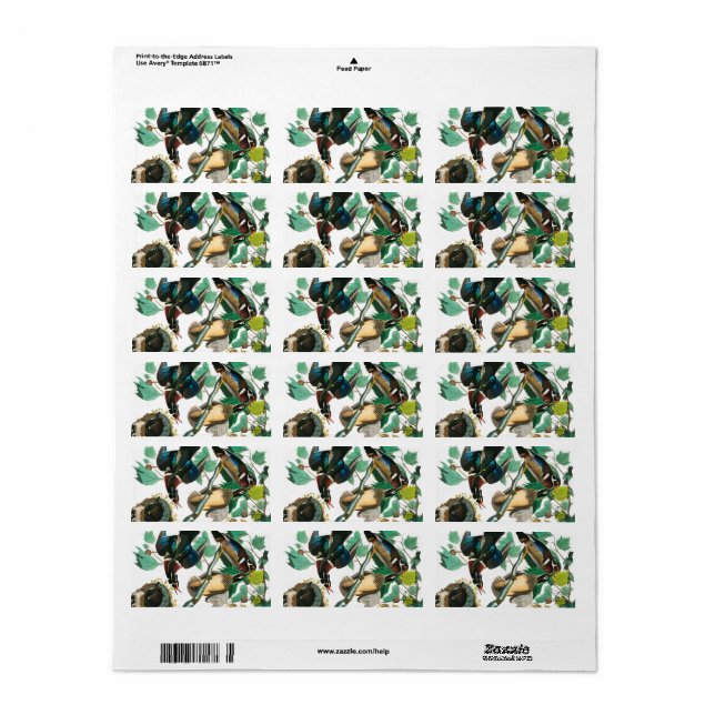 Étiquette Wood Duck par John James Audubon (Feuille entière)