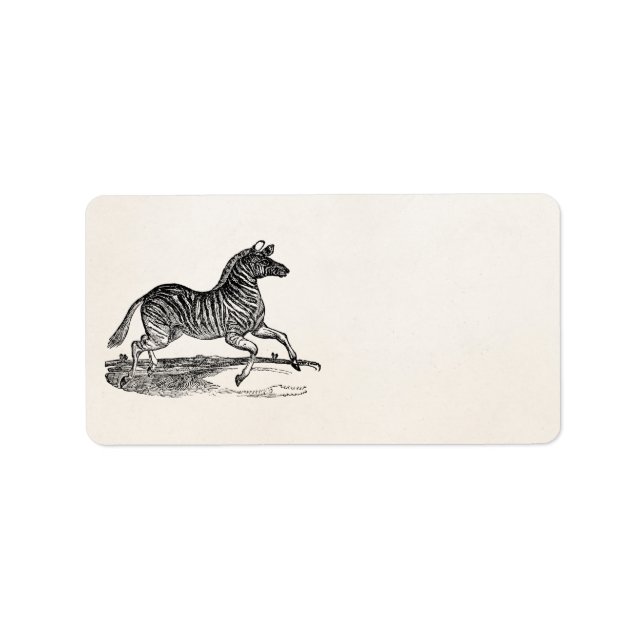 Étiquette Zèbres d'illustration Zèbre rayé des années 1800 v (Devant)