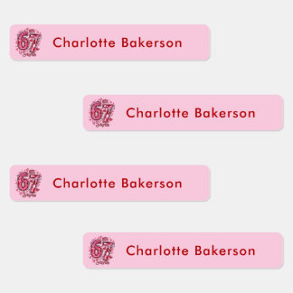 Étiquettes 6 7 Six Seven Meme Trend Girls Waterproof Labels