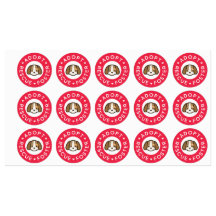 Adopter, Secourir, Promouvoir | Bandaid de chien m