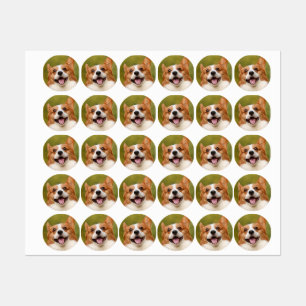 Étiquettes Ajouter une photo de chien personnalisée et sur me