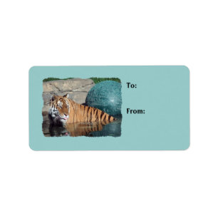 Étiquettes bleu-clair de cadeau de photo de tigre