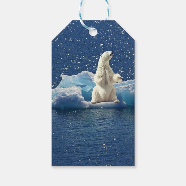 Étiquettes-cadeau Ajouter SLOGAN pour sauver les ours polaires Planè (Devant)