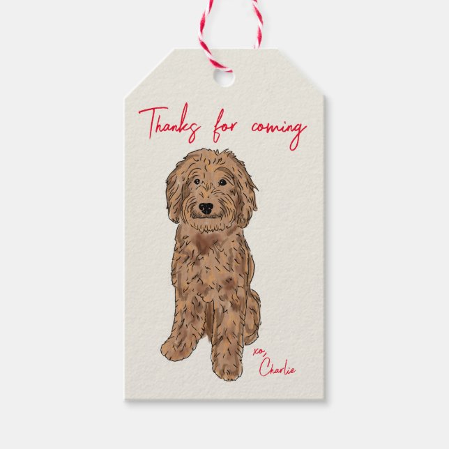 Étiquettes-cadeau Aquarelle Doodle d'or (Devant)
