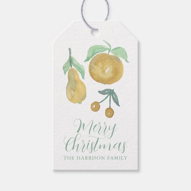 Étiquettes-cadeau Aquarelle Fruit de Noël (Devant)
