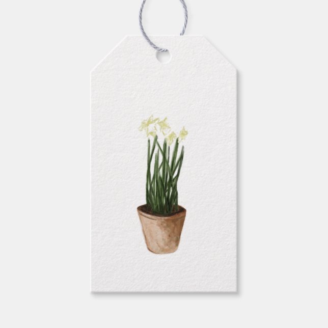 Étiquettes-cadeau Aquarelle Noël Poted Paperblancs Plante (Devant)