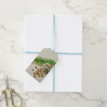 Aquarelle Pinõn Nuts Pinecone Nouveau-Mexique