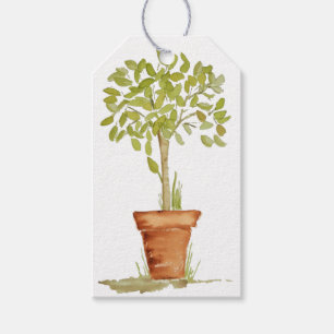 Étiquettes-cadeau Arbre d'art topiaire d'aquarelle