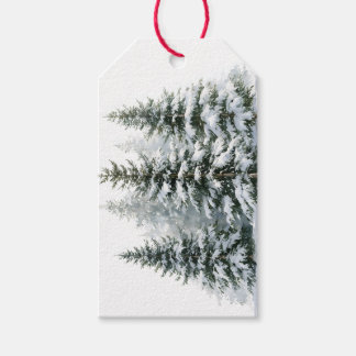 Étiquettes-cadeau Arbres de pin en hiver