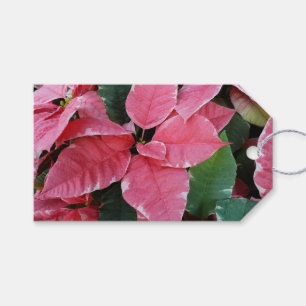 Étiquettes-cadeau Argent Star Marbre Poinsettias Pink Holiday Floral