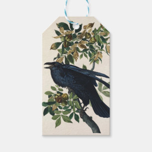 Étiquettes-cadeau Art de la nature de l'oiseau corbeau vintage Audub