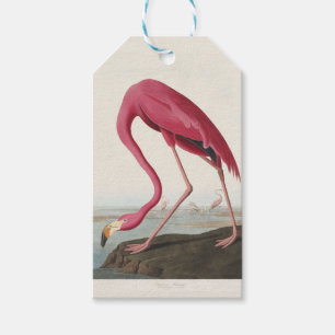 Étiquettes-cadeau Art Vintage Audubon Flamant rose Américain Oiseau