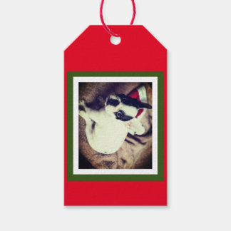 Étiquettes-cadeau Baby Boston Bull Christmas