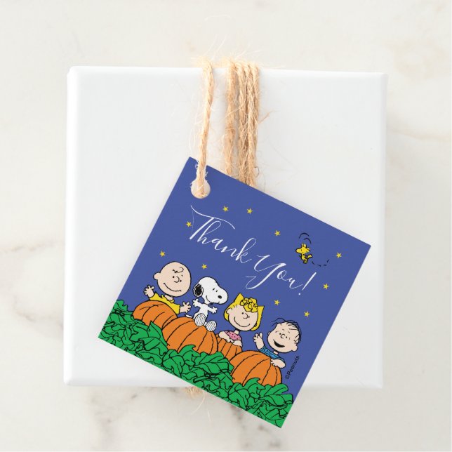 Étiquettes Cadeau Baby shower Citrouille cacahuètes - Merci (En situation)