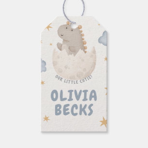 Étiquettes-cadeau Baby shower illustratif Pastel Watercolor