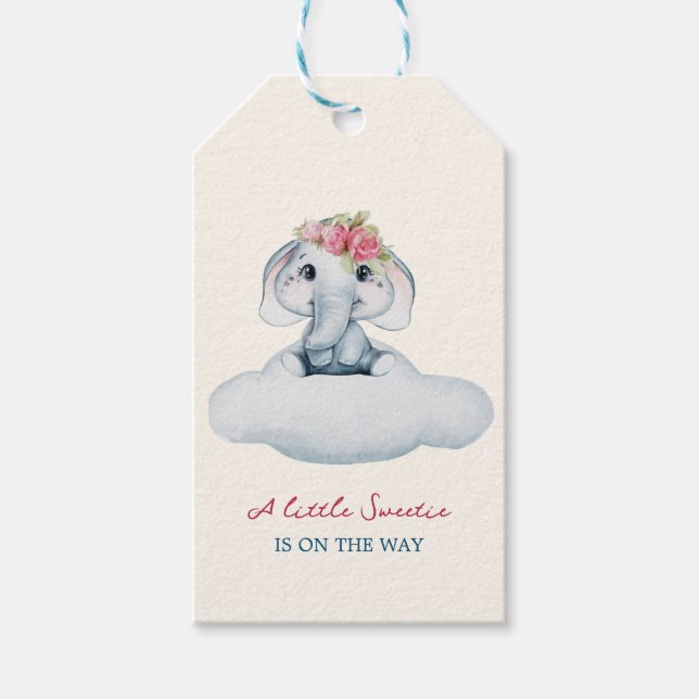 Étiquettes-cadeau Baby shower moderne rose et bleu (Devant)