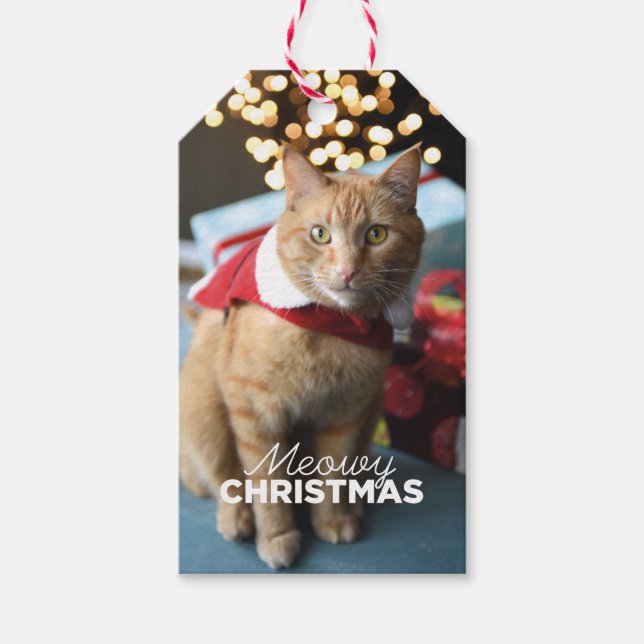 Étiquettes-cadeau Balise cadeau de chat de Noël Meowy (Devant)
