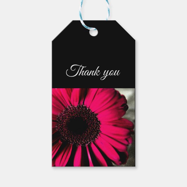 Étiquettes-cadeau Balise cadeau de marguerite rose (Devant)
