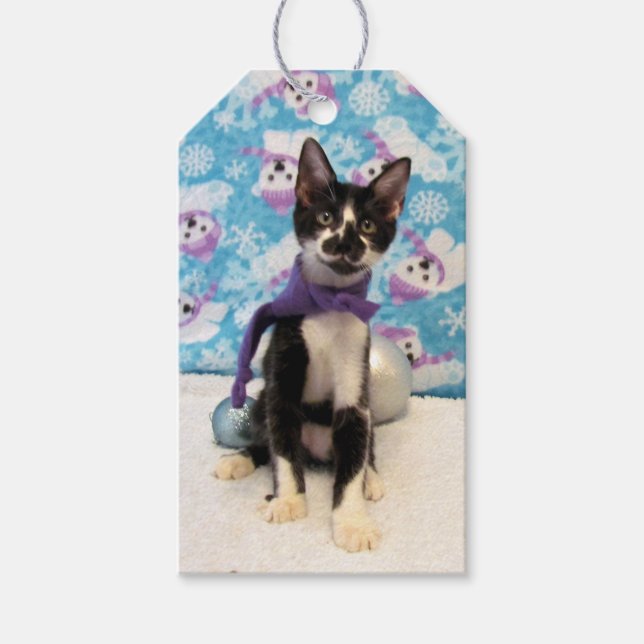 Étiquettes-cadeau Balise cadeau de Noël de Cowboy - Chat / Kitten (Devant)