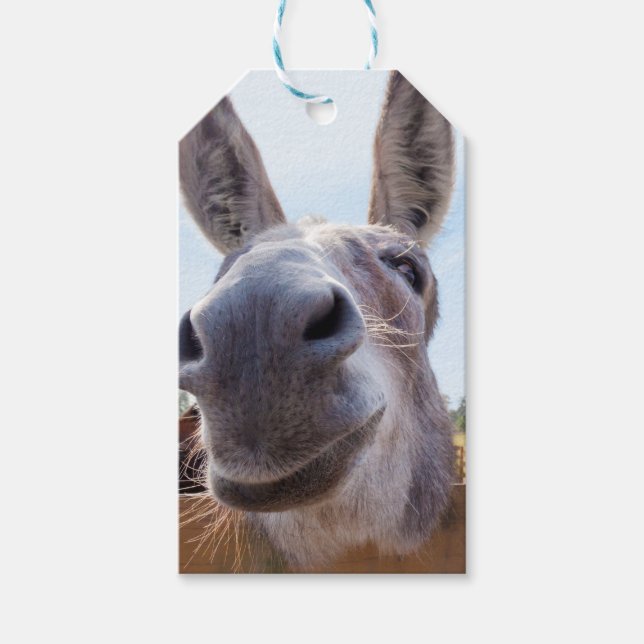 Étiquettes-cadeau Balise Cadeau Donkey souriant (Devant)