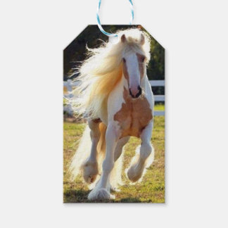 Étiquettes-cadeau Balise Cadeau du cheval