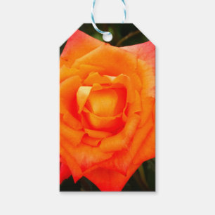Étiquettes-cadeau Balise cadeau Orange Rose photo